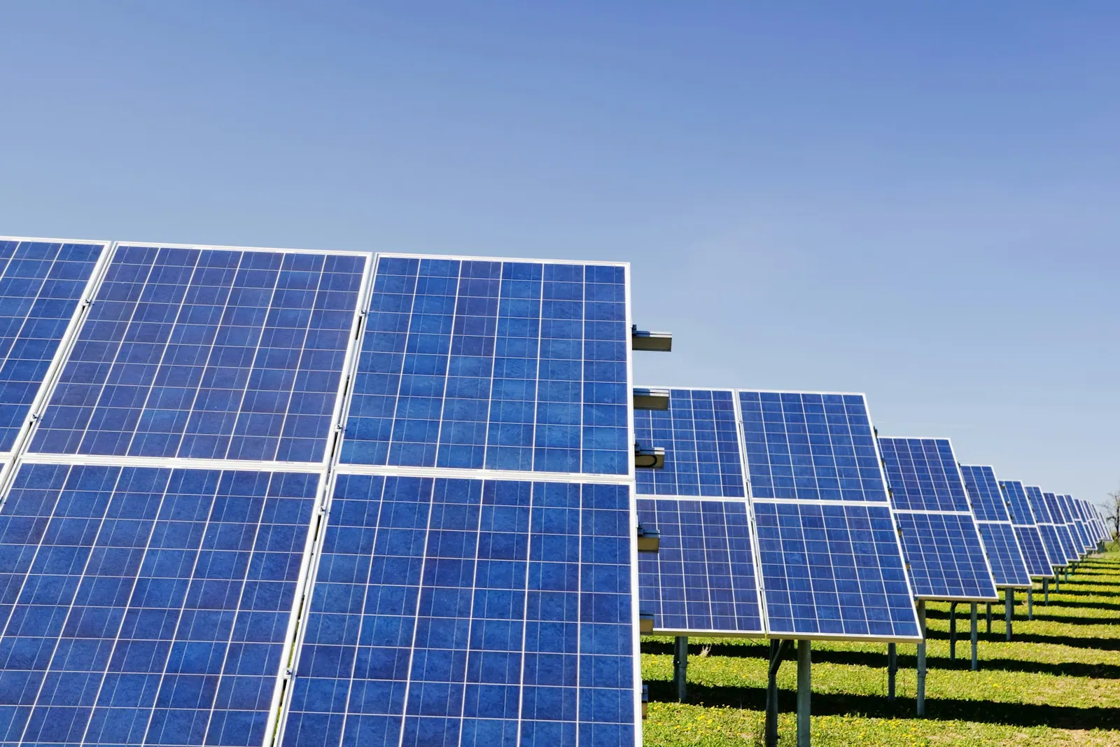 Close-up of solar panel cells
